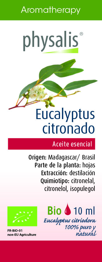Eucalyptus citronado