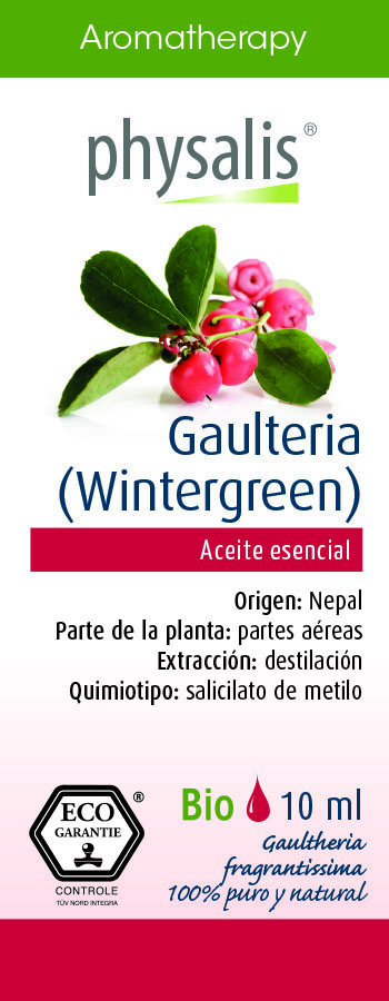 Gaulteria (Wintergreen)