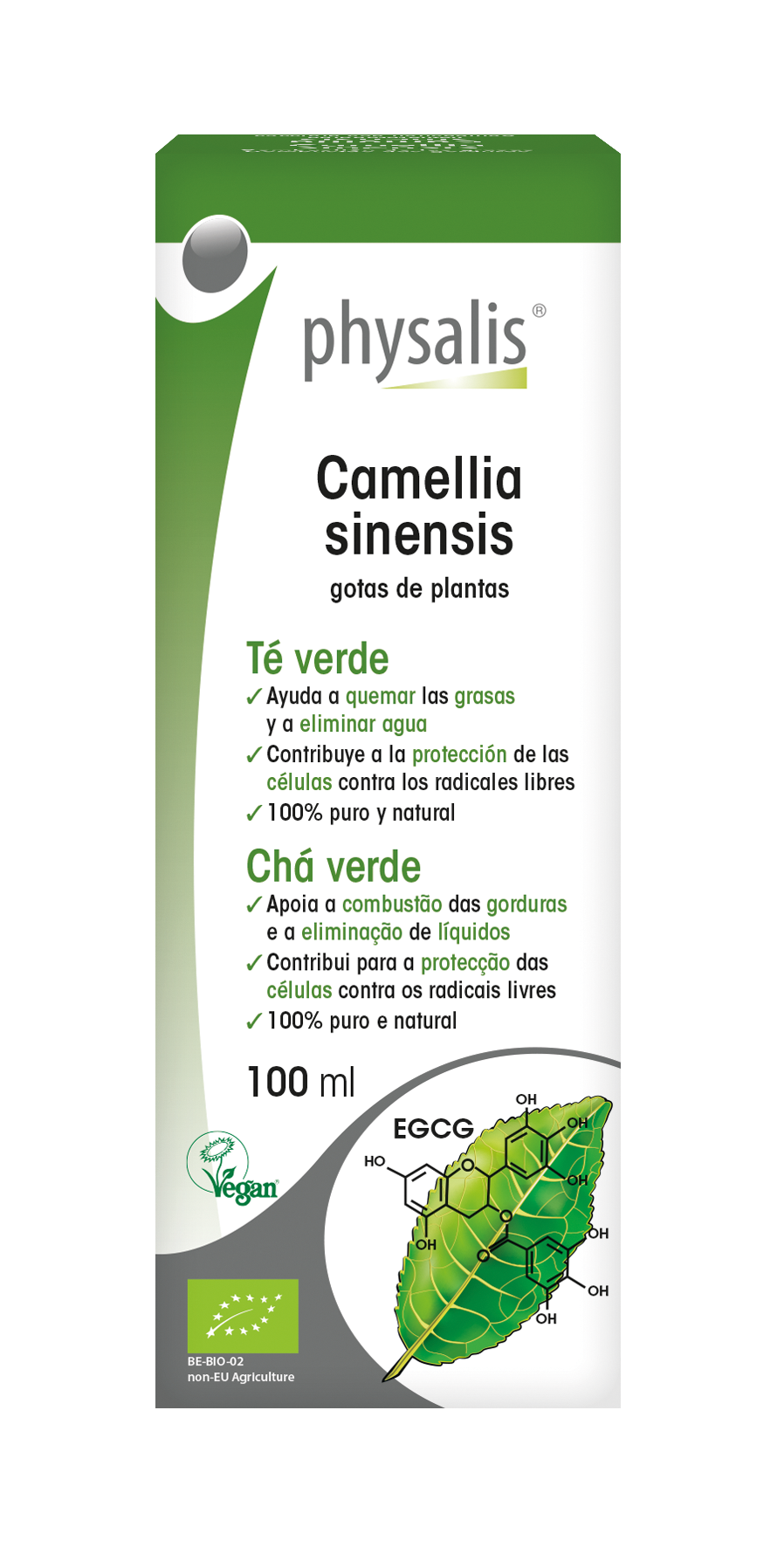 Camellia sinensis Gotas de plantas