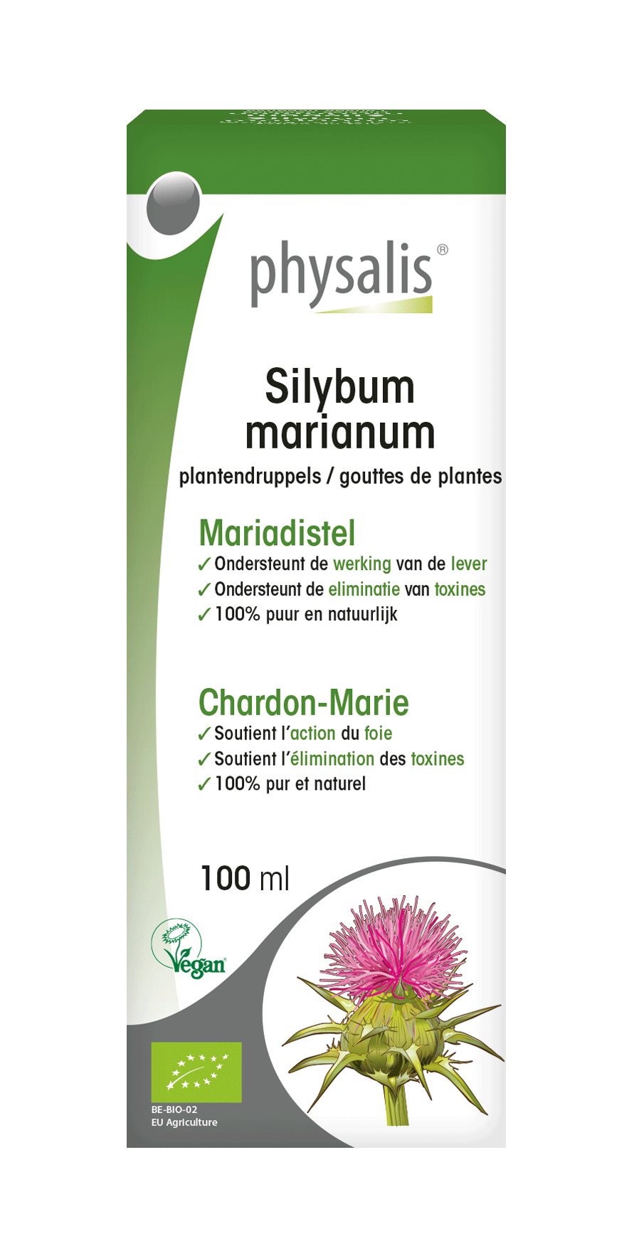 Silybum marianum Gotas de plantas