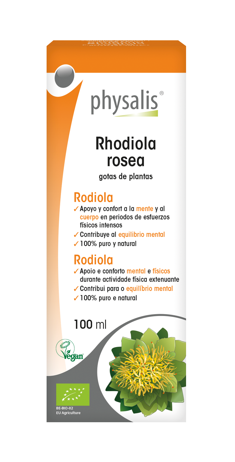 Rhodiola rosea Gotas de plantas