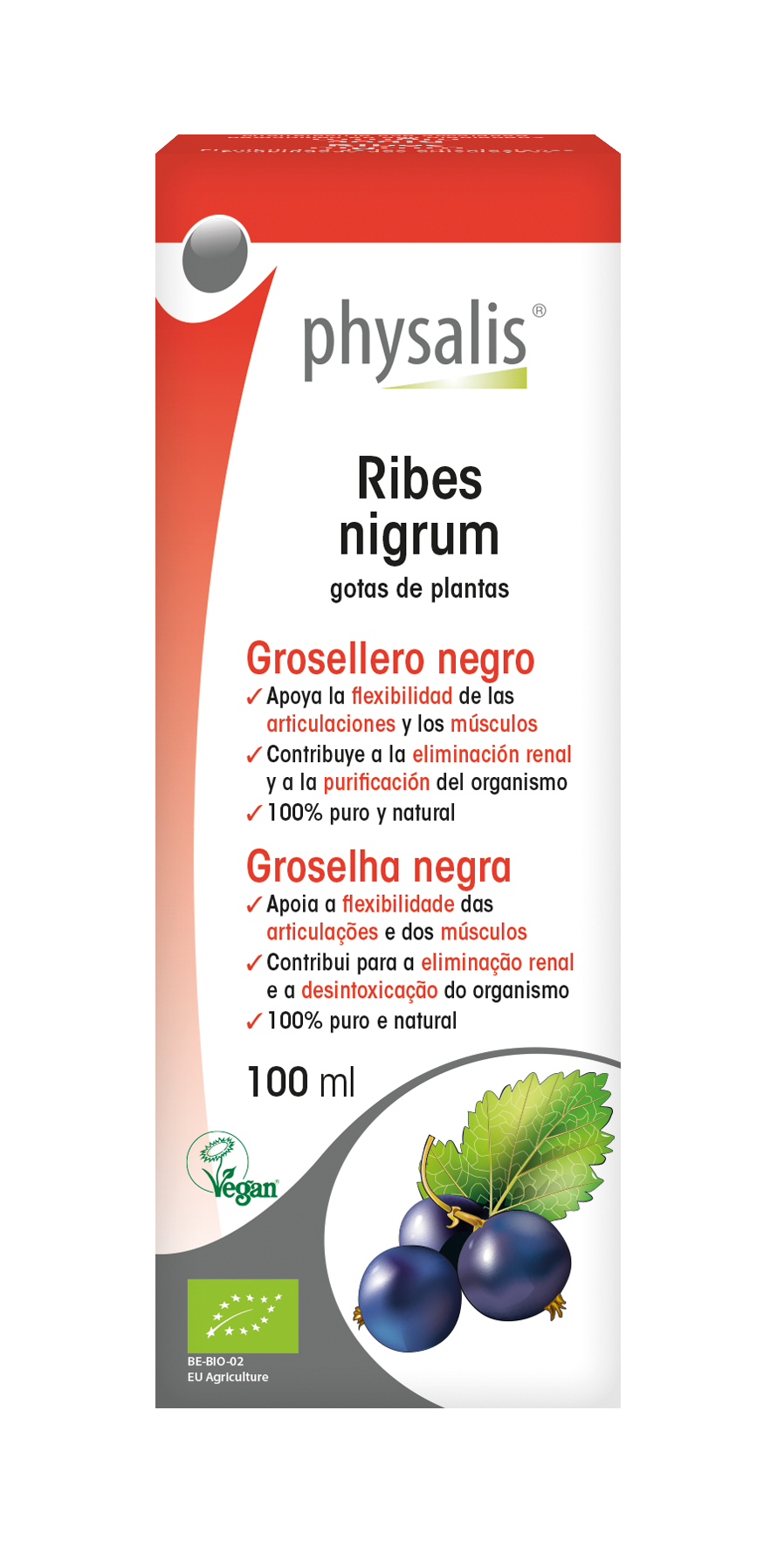 Ribes nigrum Gotas de plantas